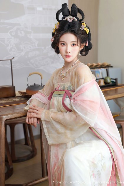 西辛2